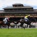Grey Street is a shock winner of the juvenile maiden for Richard Fahey...