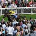A huge crowd sees Pearl Acclaim win the Ripon Horn Blower Conditions Stakes