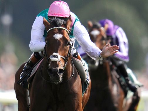 Frankel: Closing in on top Cartier Award