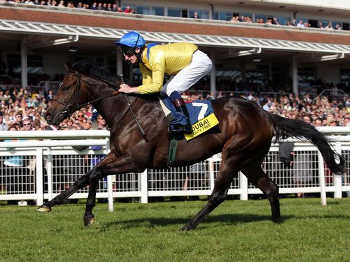 Moohaajim: Impressive in victory at Newbury