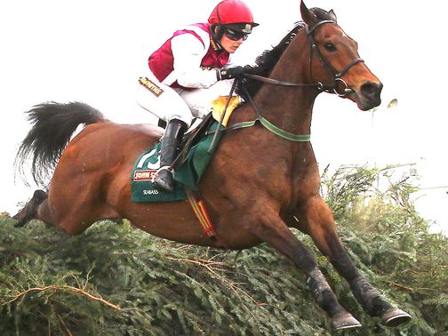 Seabass: Can underline his Grand National credentials at the weekend