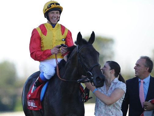 Snow Fairy: Leopardstown heroine