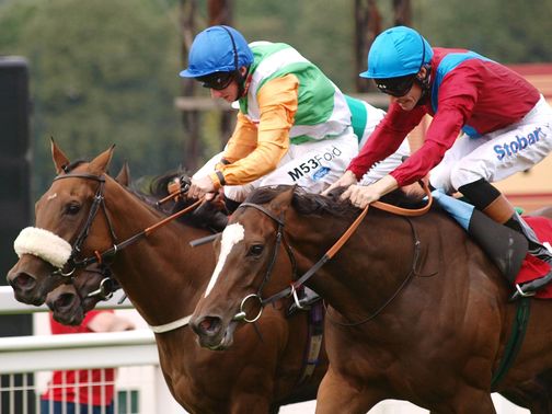 Dank: Gains revenge on Ladys First at Sandown