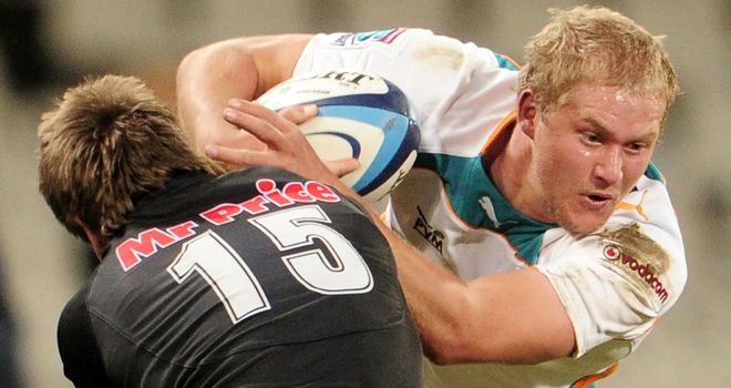 Johan Snyman: Has agreed to join the Scarlets