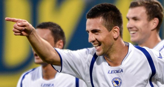 Vedad Ibisevic: One of two players to score a hat-trick for Bosnia-Herzegovina