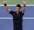 Novak Djokovic: Will now face David Ferrer in the semi-final