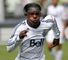 Mattocks image