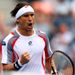 David Ferrer won the first set of his quarter-final against Janko Tipsarevic.