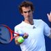 Andy Murray was looking to win his first Grand Slam title with victory in the US Open final against Novak Djokovic.