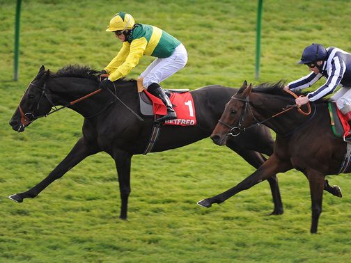 Aaim To Prosper: Scuppered Scoop6 punters
