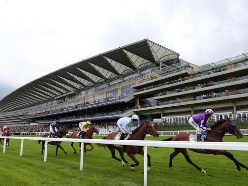 Ascot: two market movers this afternoon
