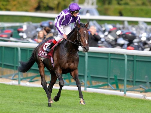 Camelot: 'Could be something unbelievable next year'