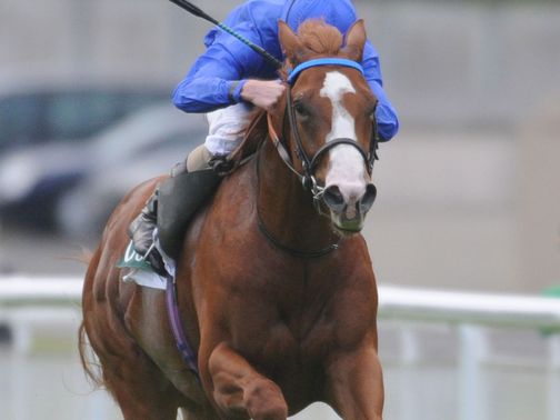 Dawn Approach: Has flown the flag for his sire