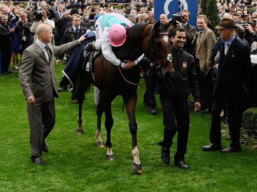 Frankel: Took his unbeaten record to 14 races before being retired in the wake of victory in the QIPCO Champion Stakes