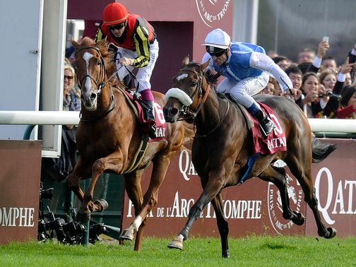 Orfevre (L) can gain his revenge on Sunday