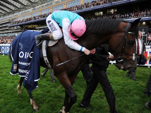 Frankel: The Wonder Horse - worth a read.