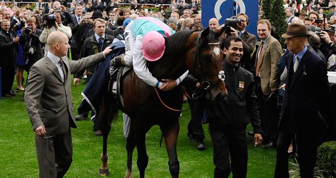 Frankel: A full brother has been born