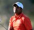 Arjun Atwal: just 25 putts in his 63