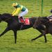 Aaim To Prosper won the Cesarewitch again, this time at 66-1!
