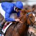 Dawn Approach was going clear at the line