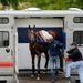 Frankel arrives for a crucial gallop ahead of QIPCO British Champions Day