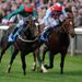 Fulbright gets the better of Red Jazz in the Challenge Stakes