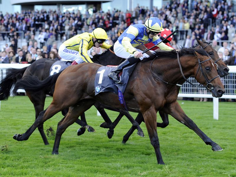 Bungle Inthejungle wins the Cornwallis