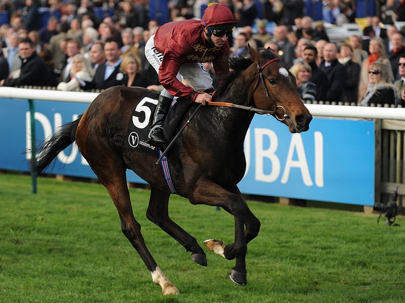 Just The Judge won the Rockfel for Charles Hills