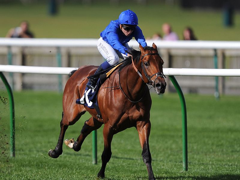 Tarikhi wins at Newmarket