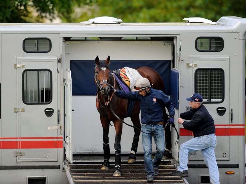 Frankel arrives for a crucial gallop ahead of QIPCO British Champions Day