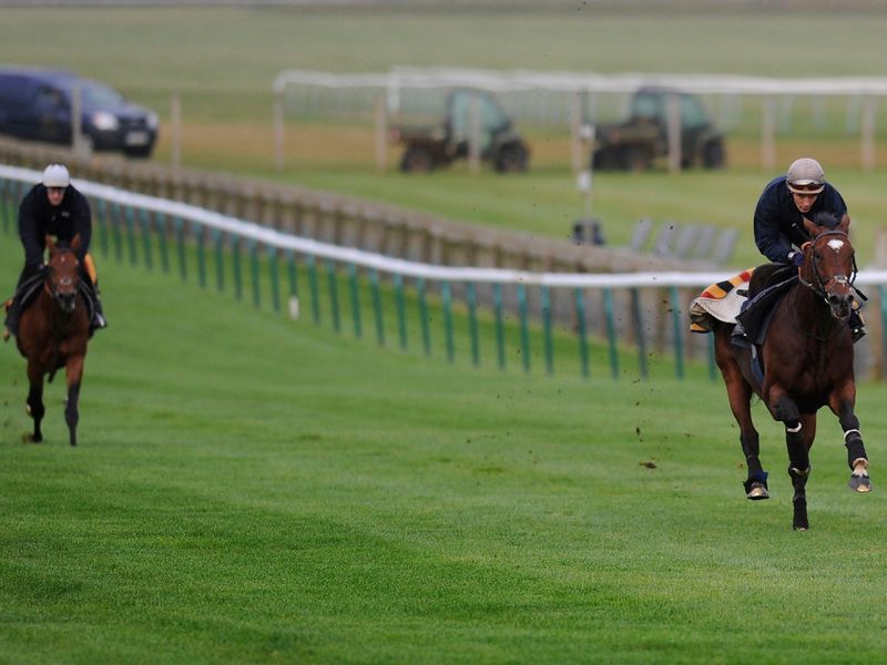 For once Tom Queally gets a distant view of his regular partner.