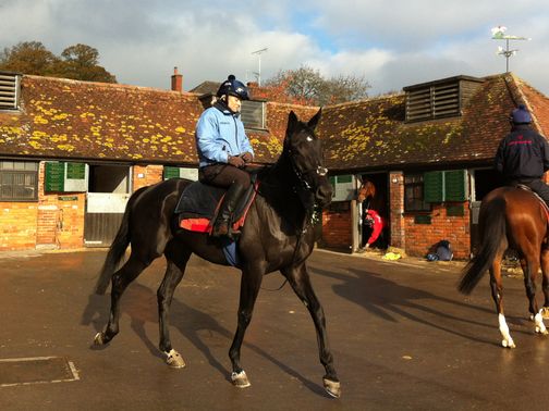 Alex with Black Thunder at Manor Farm Stables
