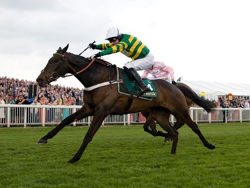 Darlan: An intended runner at Kempton