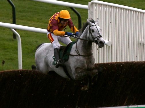 Dynaste: Very impressive chasing debut at Cheltenham