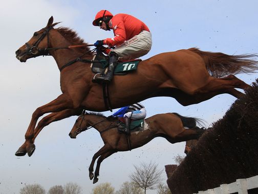 Harry The Viking: Will be entered in John Smith's Grand National