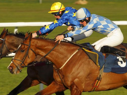 African Gold (near) will return to Newbury this weekend