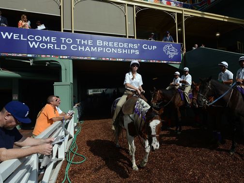 It's a big night of action at the Breeders' Cup