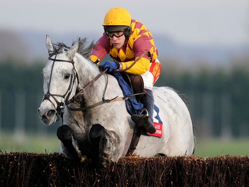 Dynaste: Cheltenham target unknown as yet