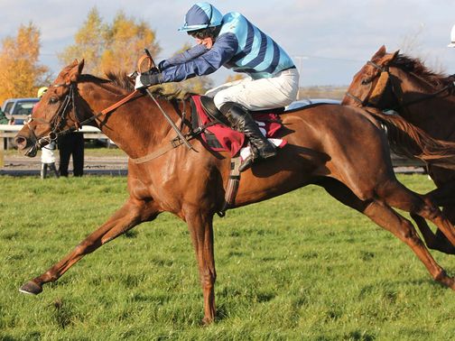 Kauto Stone: Back to the drawing board