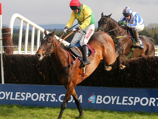Sizing Europe: Faces six rivals at Leopardstown