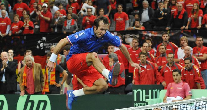 A triumphant Radek Stepanek leaps the net after his decisive victory