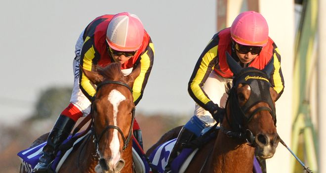 Gentildonna (r): Gets the better of Orfevre in thrilling Japan Cup