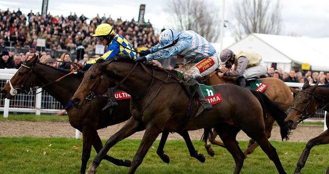 Goulanes: Scored on his chasing debut at Wetherby