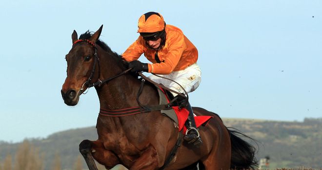 Maljimar: Runs at Cheltenham next month in cross-country chase