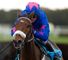 Cue Card