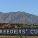 You can't miss it: The Breeders' Cup