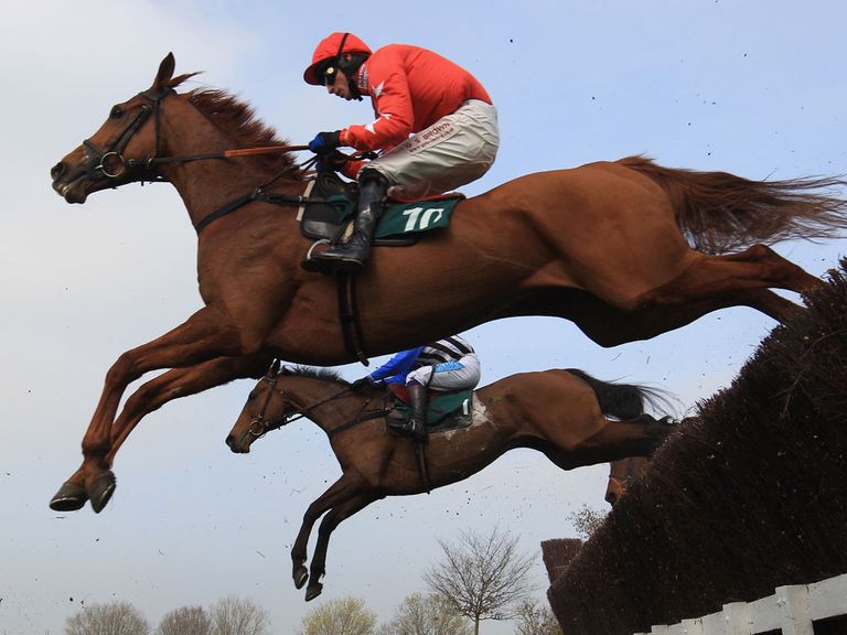 Harry The Viking: Will be entered in John Smith's Grand National
