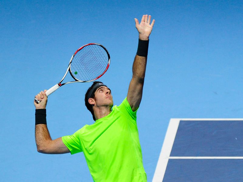 In the evening match, Juan Martin Del Potro battles it out with David Ferrer