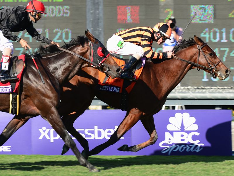 Little Mike holds on from Point Of Entry