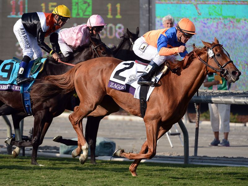 Zagora wins the Filly & Mare Turf with The Fugue trapped on the rails